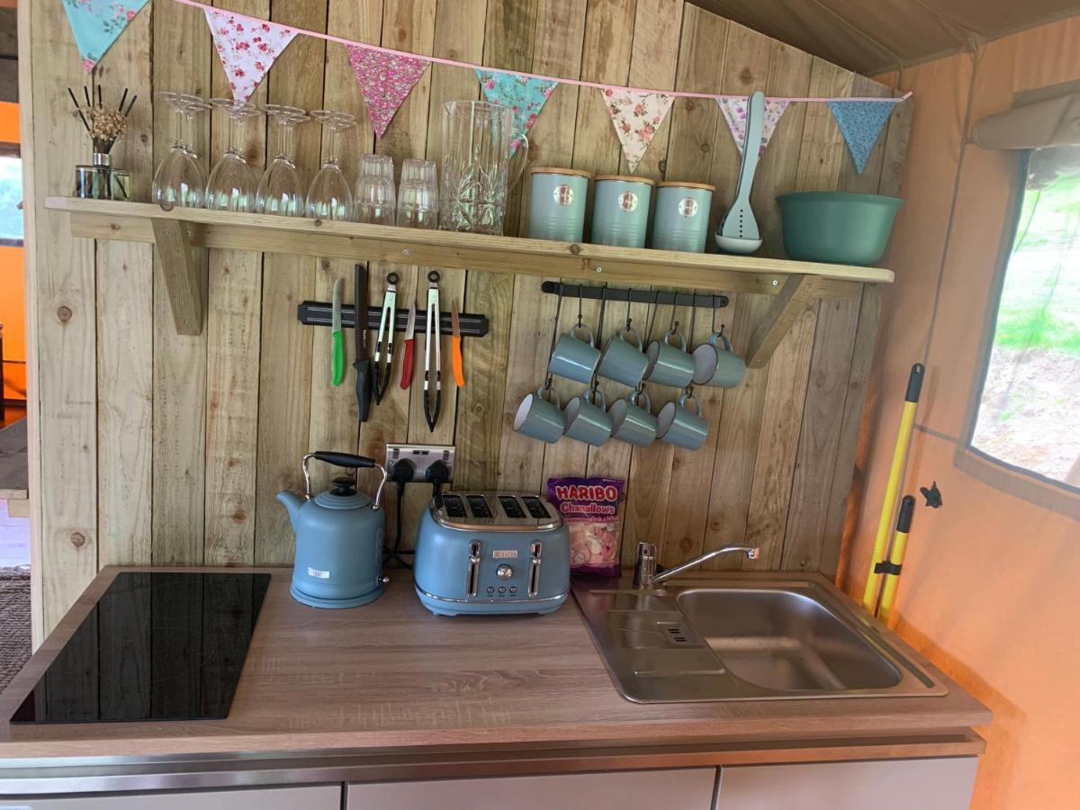 Mountain View Safari Tent With Hot Tub In The Heart Of Snowdonia دولغيلوو المظهر الخارجي الصورة